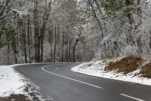 beautiful view road surrounded by trees covered with snow
